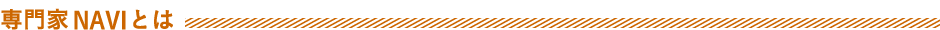 専門家NAVIとは